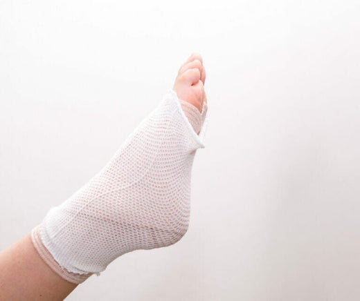 Plantar Plate