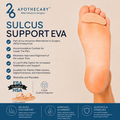 Sulcus Support